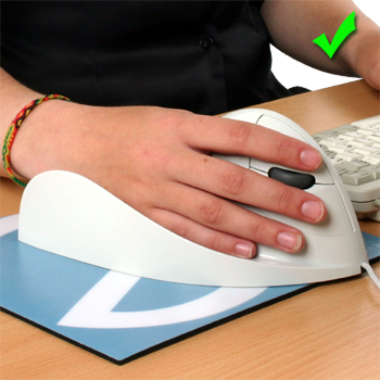Picture - The Quill Mouse.