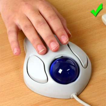 Picture - Basic 2 button trackball.